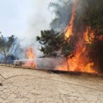 Presidência da República e Congresso Nacional se unem para coibir incêndios